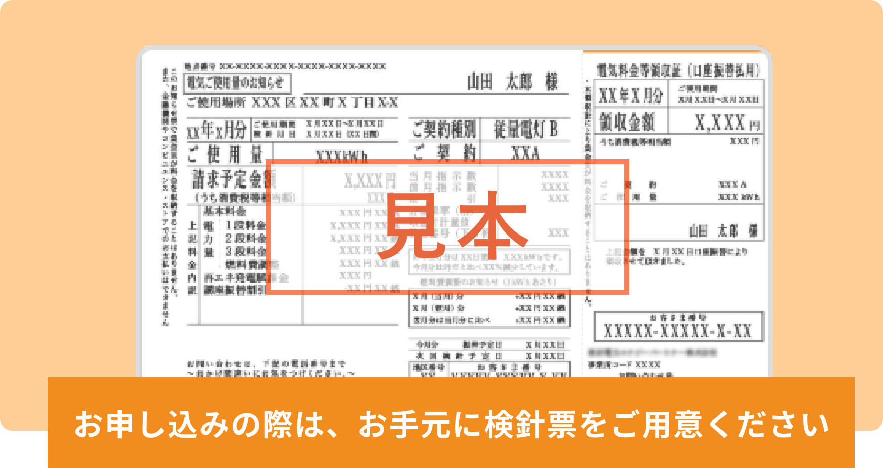 見本