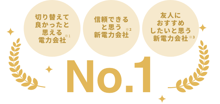 切り替えて良かったと思える電力会社 信頼できると思う新電力会社 友人におすすめしたいと思う新電力会社 No.1